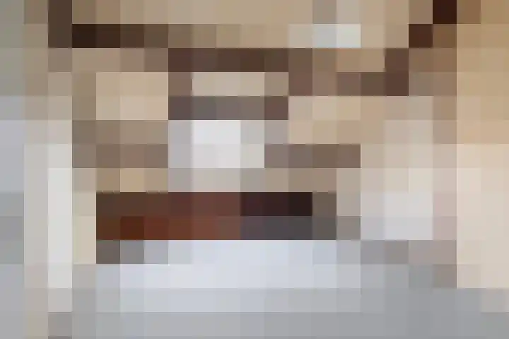 Graldastins 47 Stiens thumbnail 23
