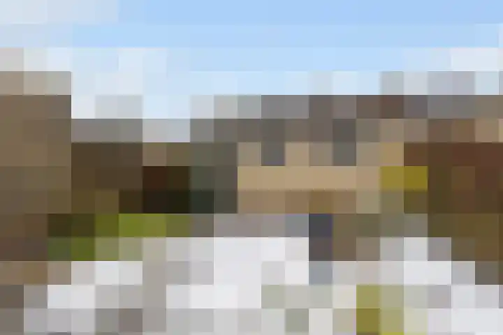 Graldastins 47 Stiens thumbnail 28