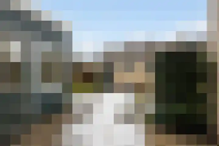 Graldastins 47 Stiens thumbnail 29