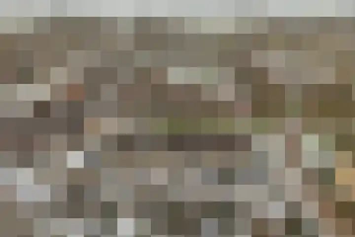 Graldastins 47 Stiens thumbnail 37