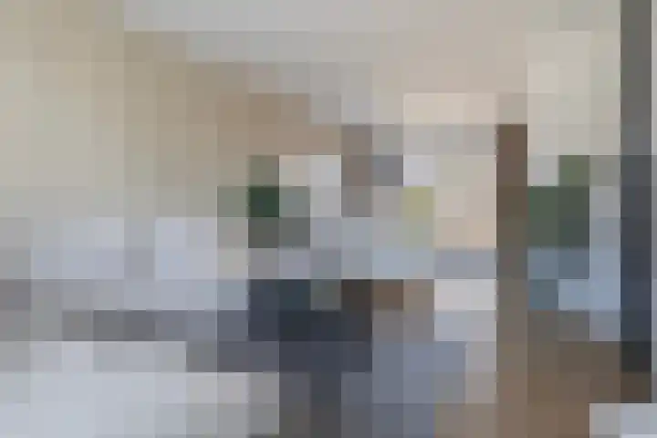 Graldastins 57 Stiens thumbnail 8