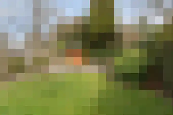 Grameystraat 3 Nijmegen thumbnail 54