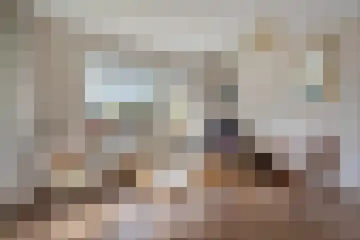 Gramsberger State 17 Gramsbergen thumbnail 16
