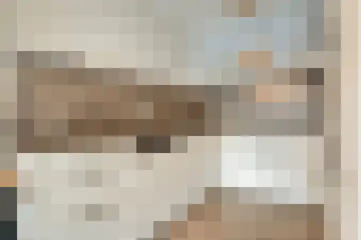 Gramsberger State 17 Gramsbergen thumbnail 18