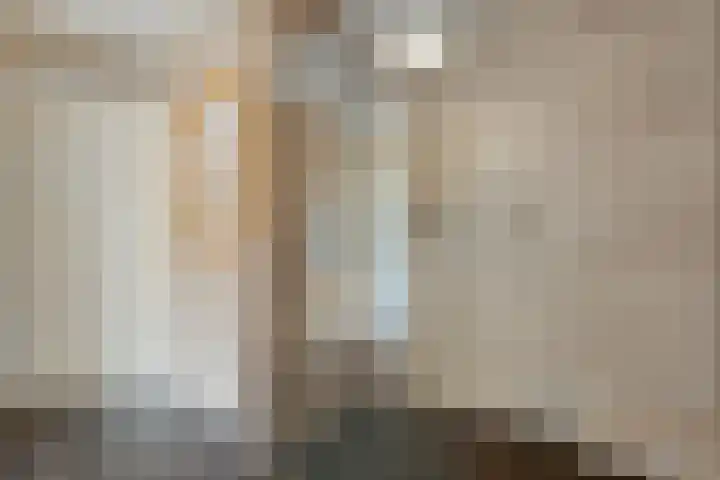 Gramsberger State 17 Gramsbergen thumbnail 26
