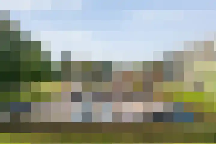 Gramsberger State 17 Gramsbergen thumbnail 33