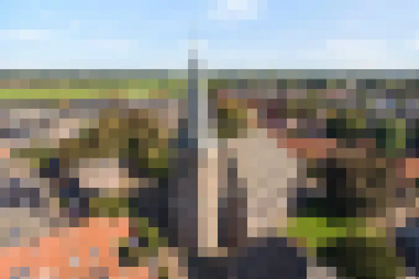 Gramsbergerhof 3 Gramsbergen thumbnail 10