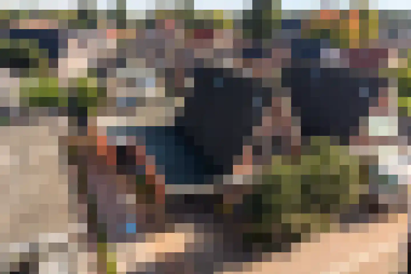Gramsbergerhof 3 Gramsbergen thumbnail 11