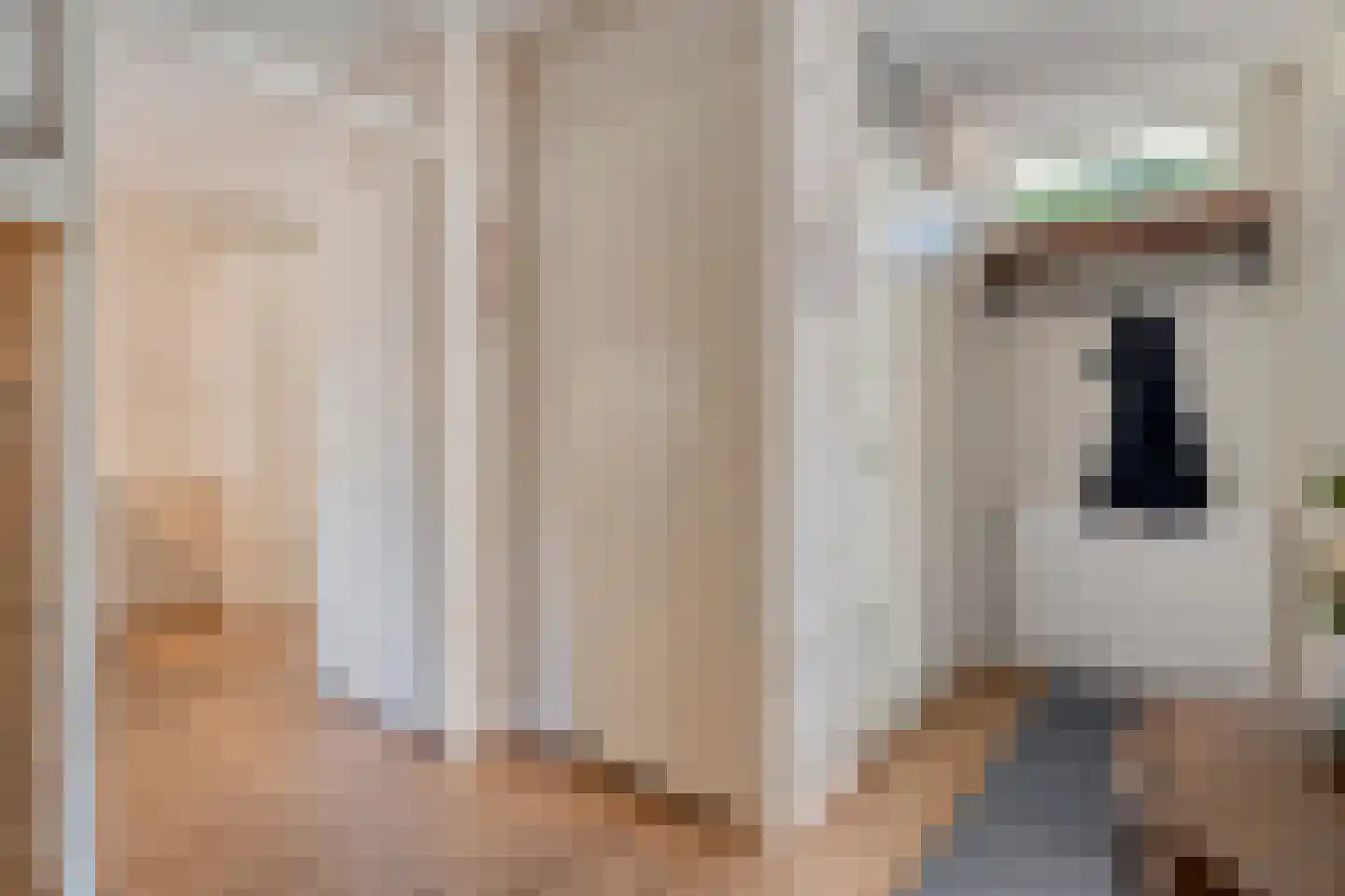Gramsbergerhof 3 Gramsbergen thumbnail 18