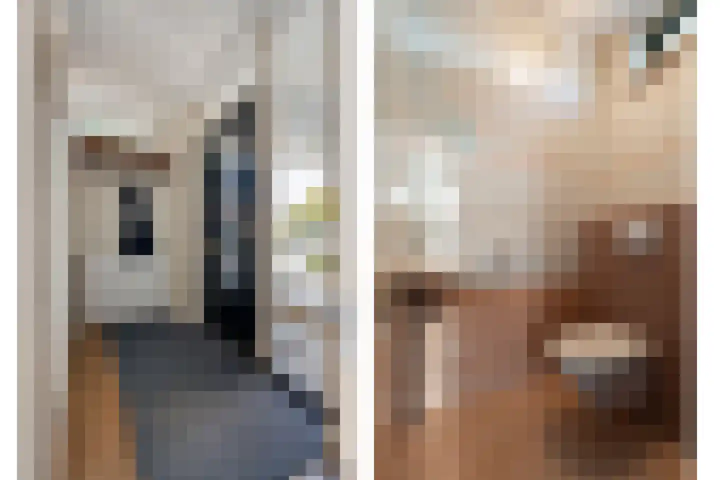 Gramsbergerhof 3 Gramsbergen thumbnail 19