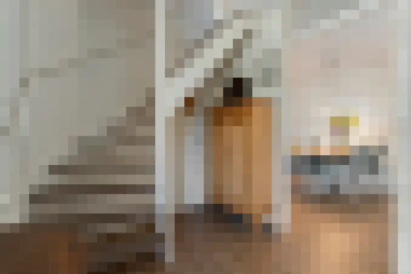 Gramsbergerhof 3 Gramsbergen thumbnail 21