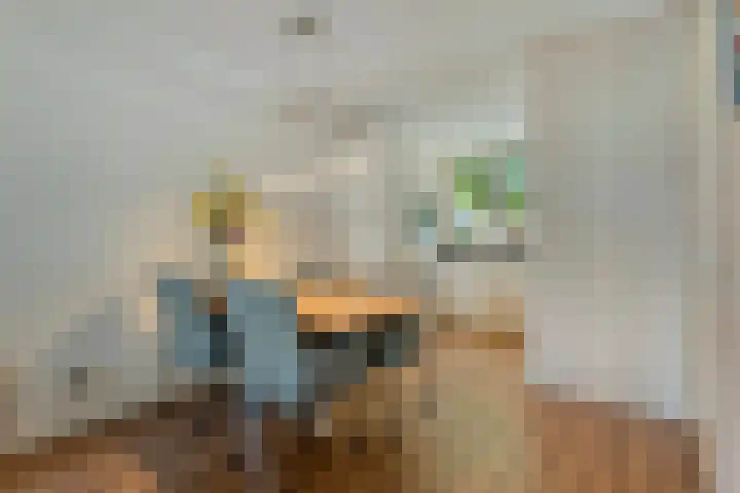 Gramsbergerhof 3 Gramsbergen thumbnail 22