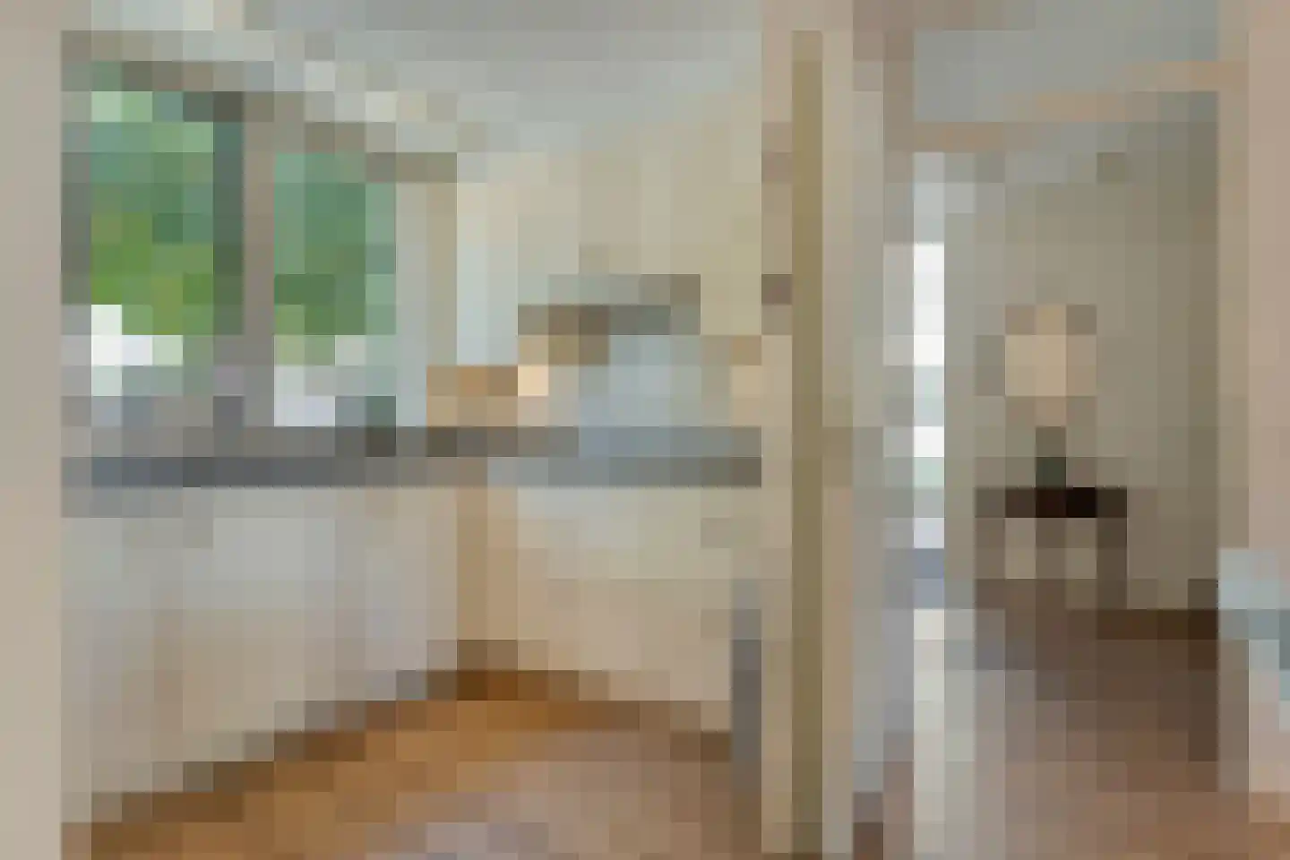 Gramsbergerhof 3 Gramsbergen thumbnail 23