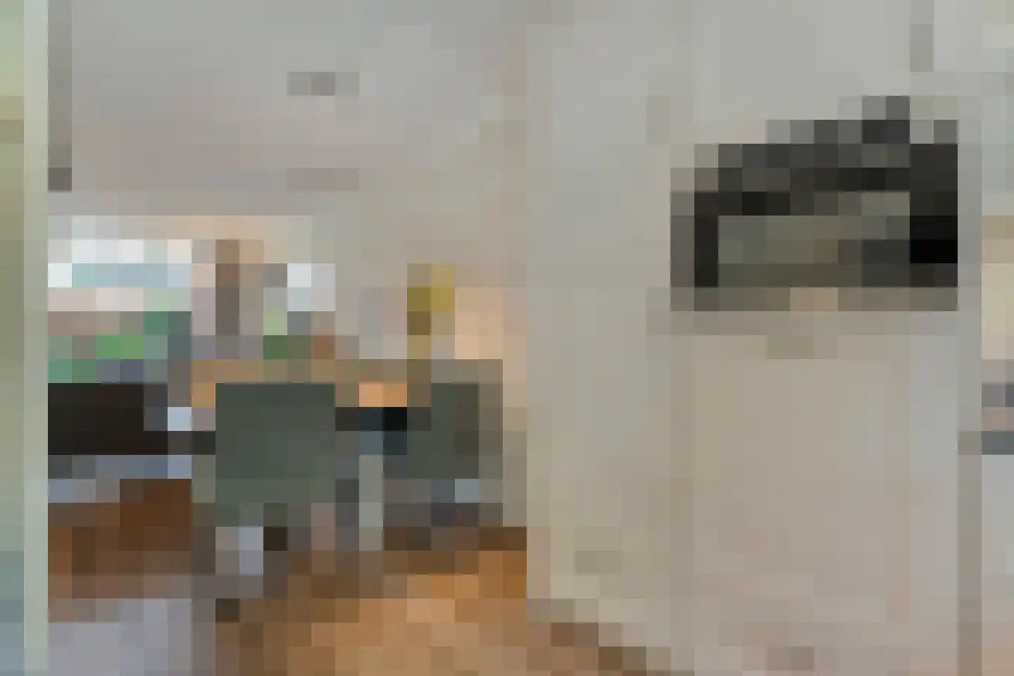 Gramsbergerhof 3 Gramsbergen thumbnail 25