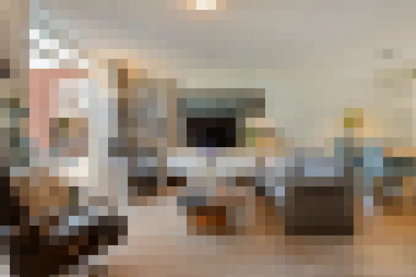 Gramsbergerhof 3 Gramsbergen thumbnail 27