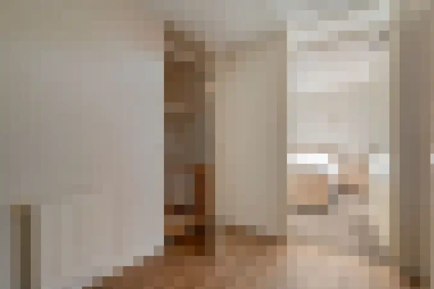 Gramsbergerhof 3 Gramsbergen thumbnail 30