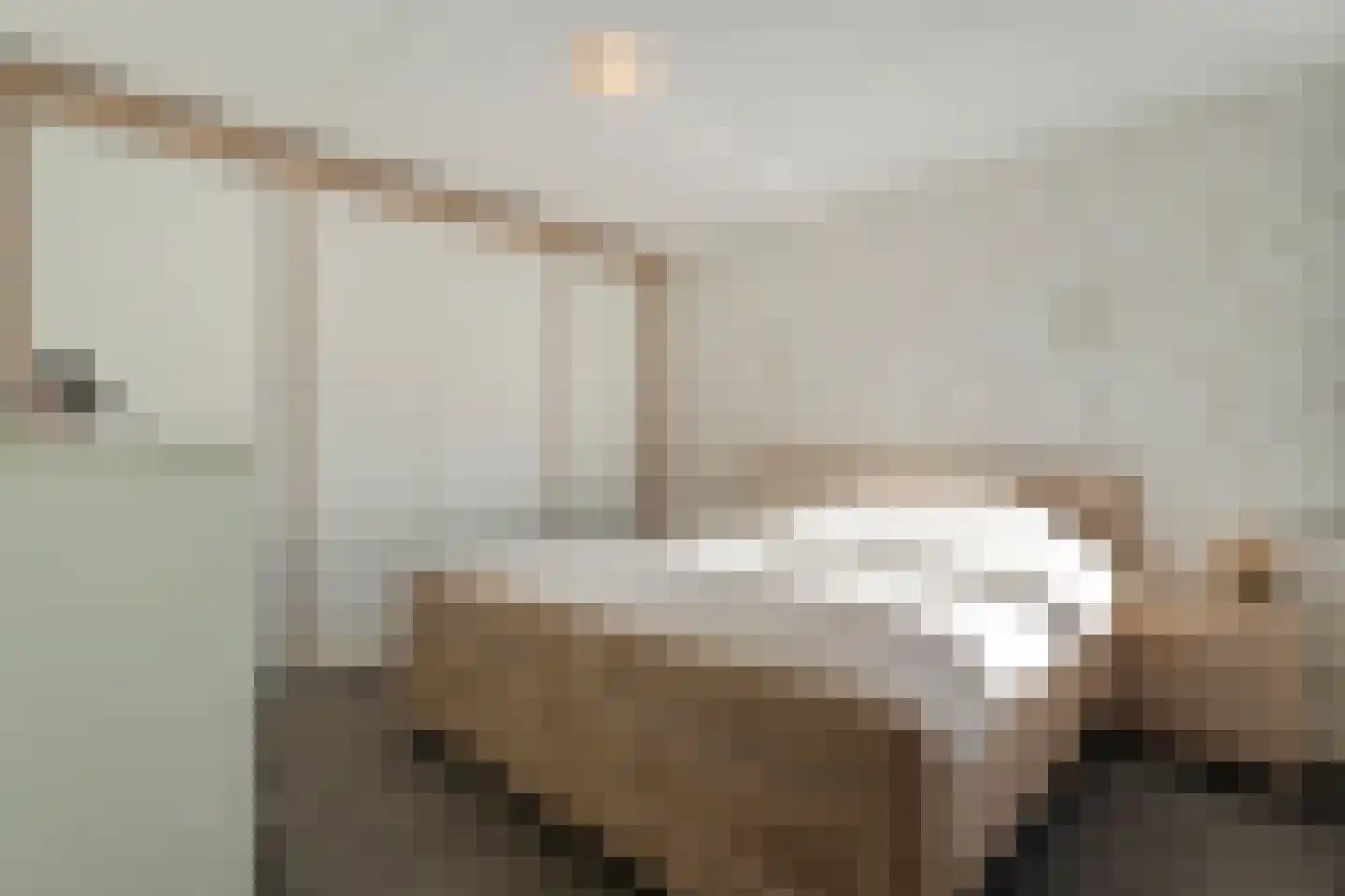 Gramsbergerhof 3 Gramsbergen thumbnail 31