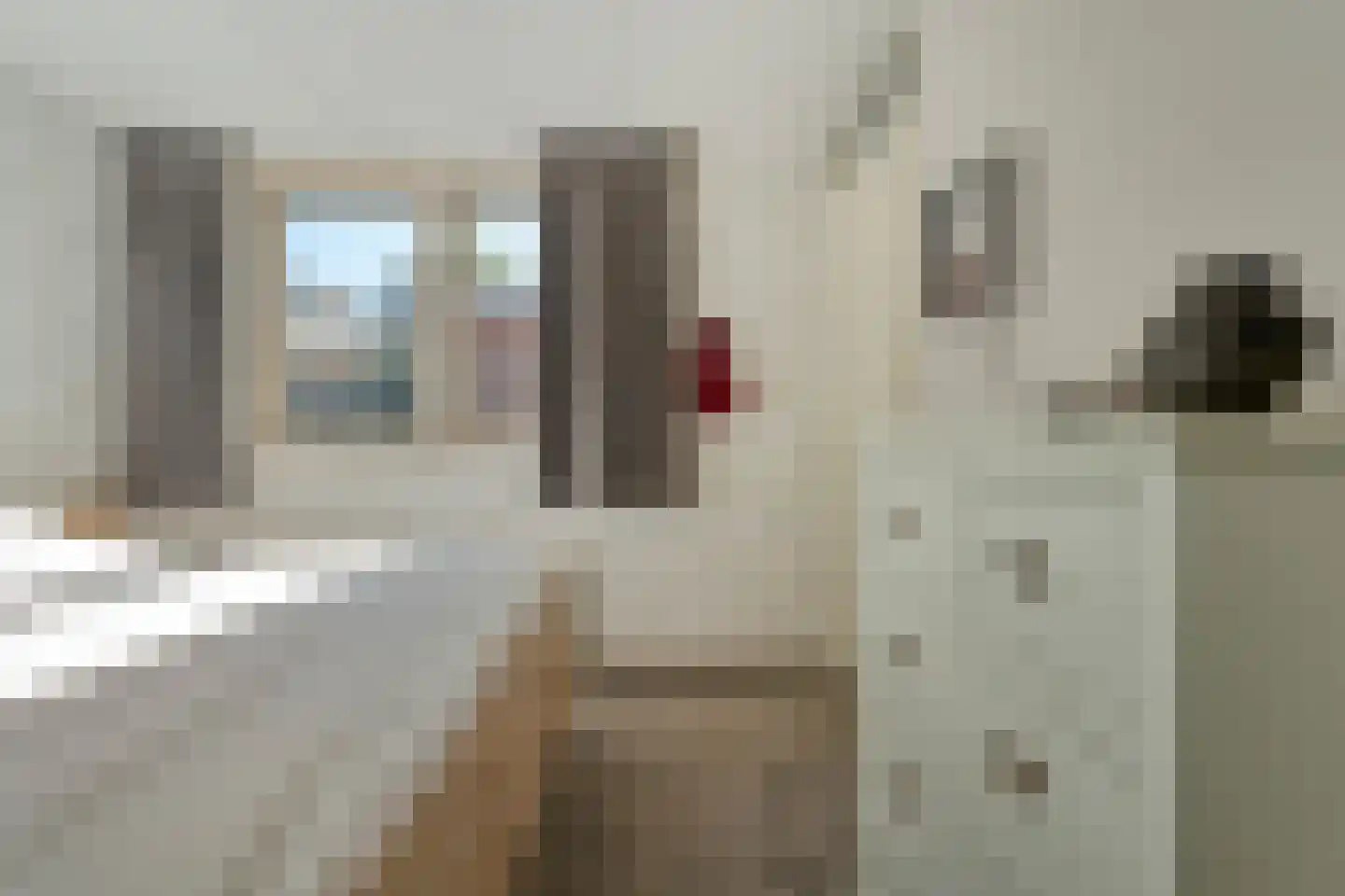 Gramsbergerhof 3 Gramsbergen thumbnail 32