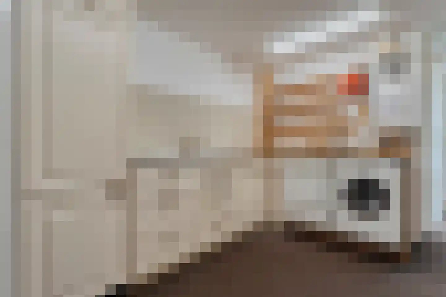 Gramsbergerhof 3 Gramsbergen thumbnail 37