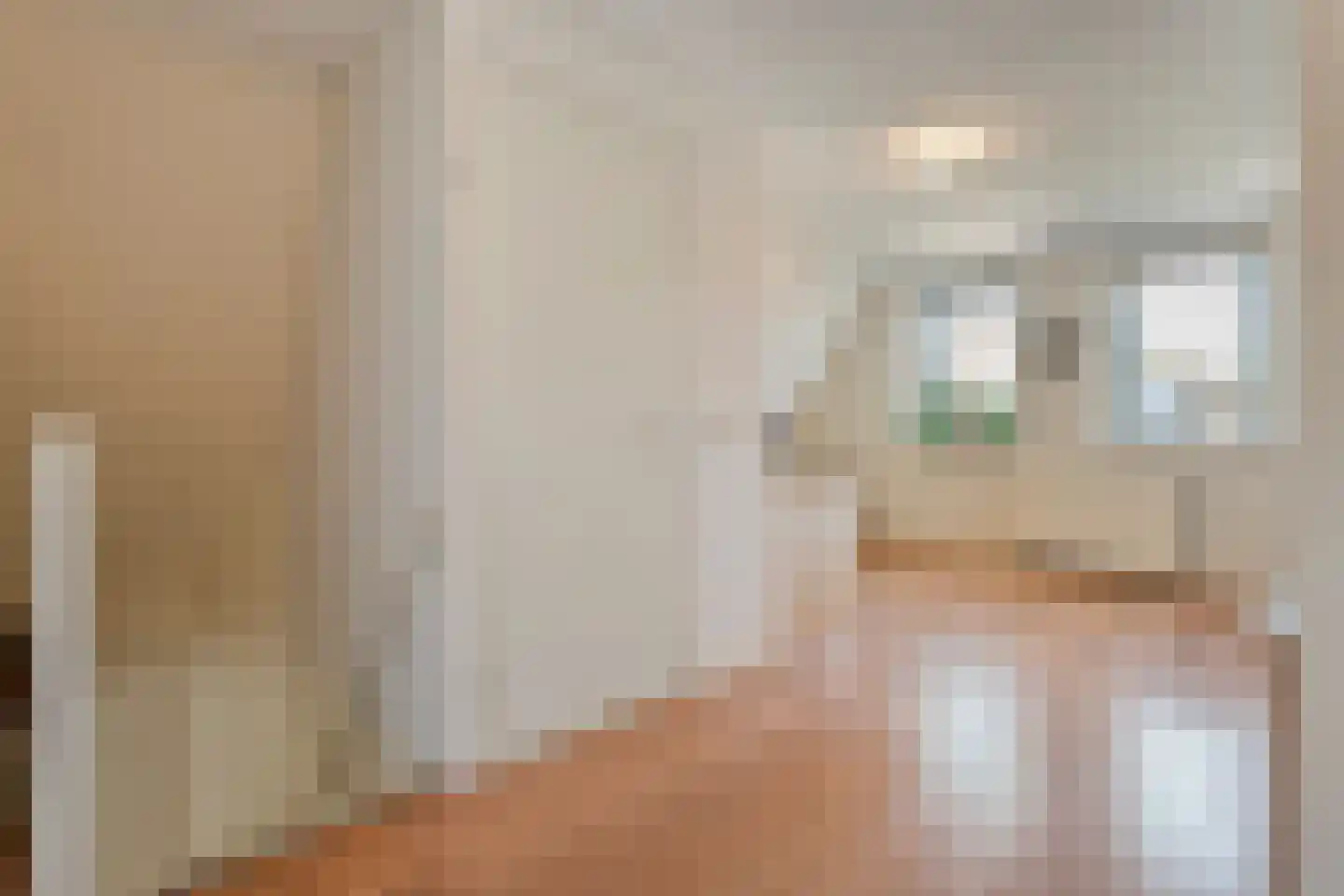 Gramsbergerhof 3 Gramsbergen thumbnail 38