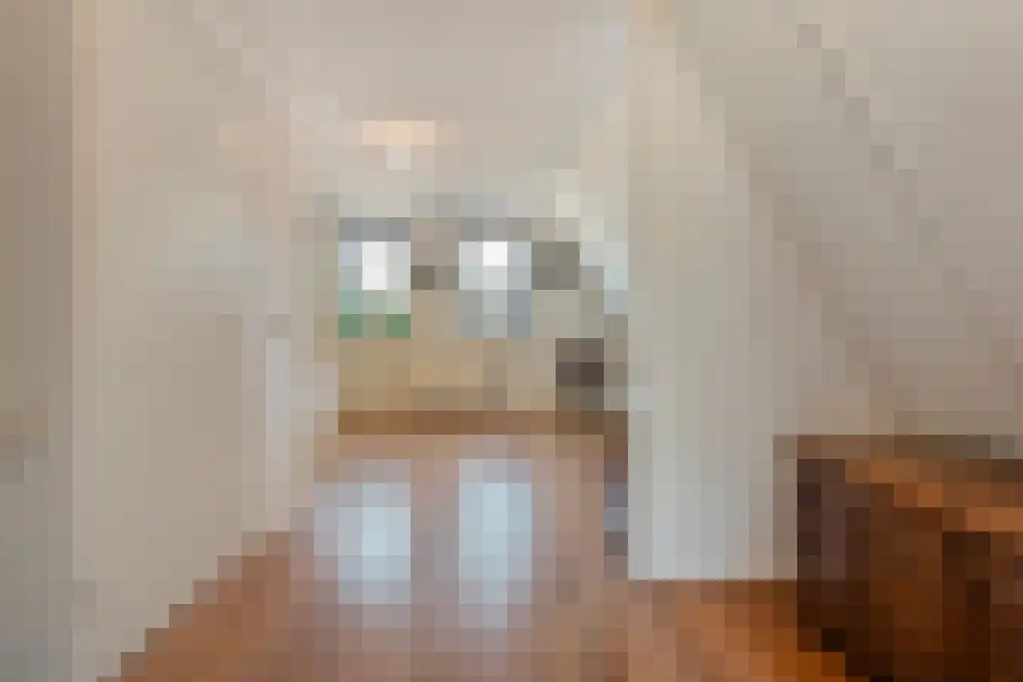 Gramsbergerhof 3 Gramsbergen thumbnail 39