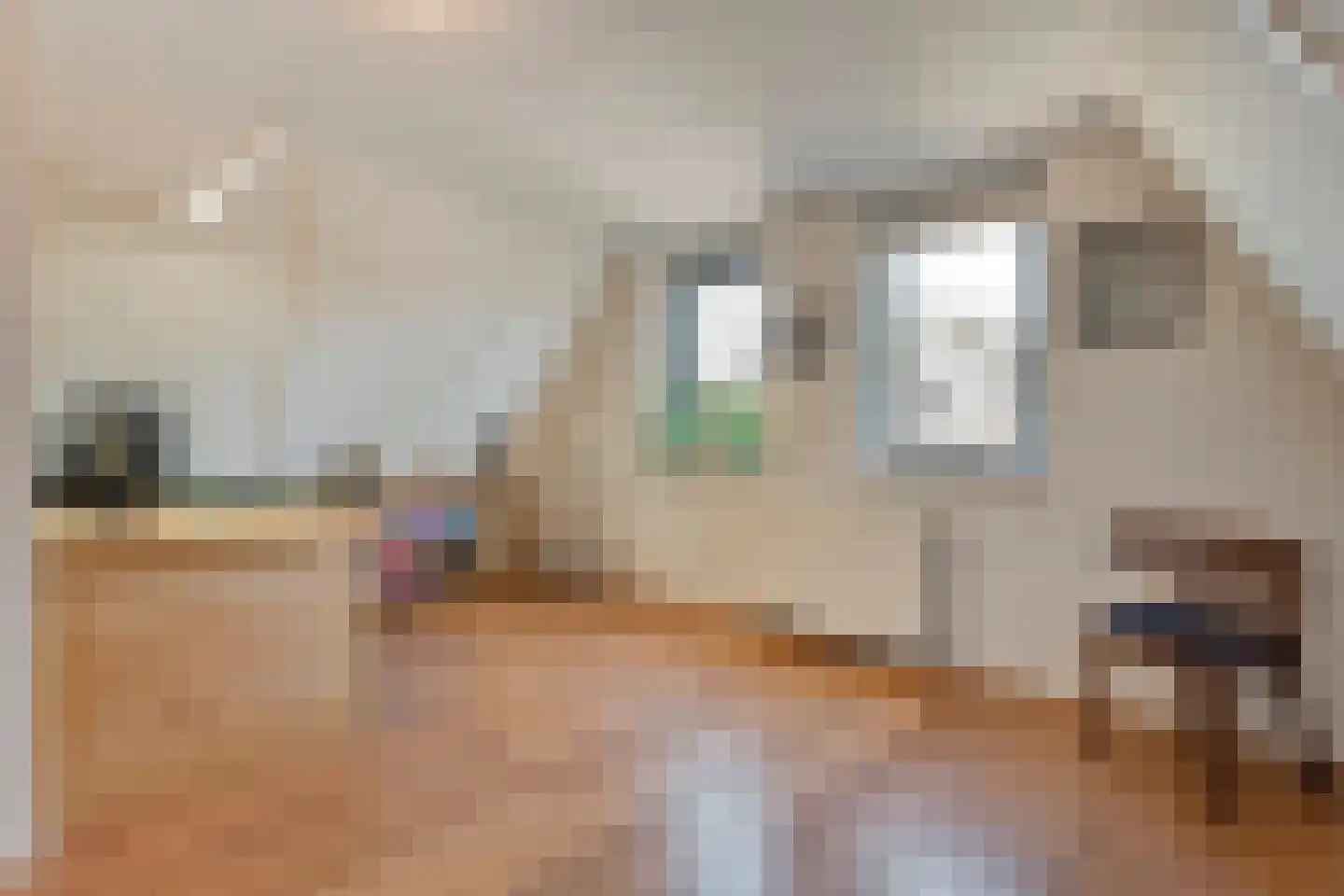 Gramsbergerhof 3 Gramsbergen thumbnail 41