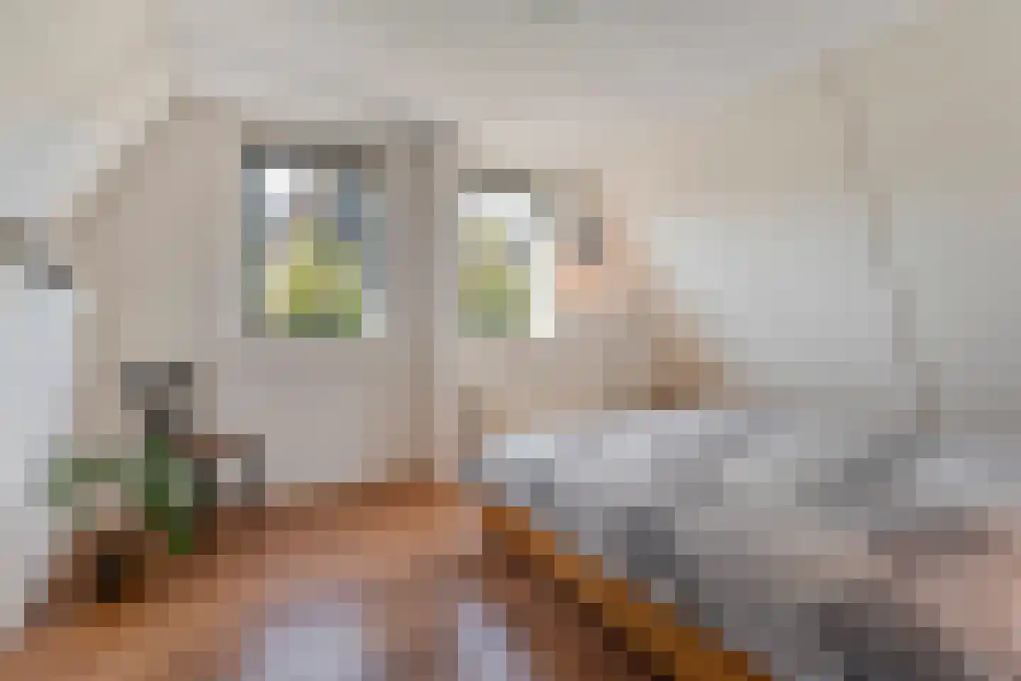 Gramsbergerhof 3 Gramsbergen thumbnail 43