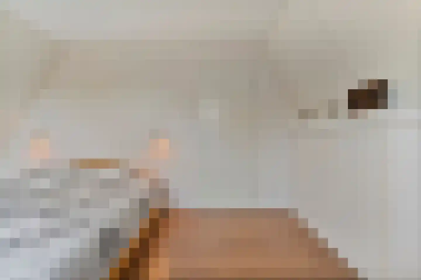 Gramsbergerhof 3 Gramsbergen thumbnail 44