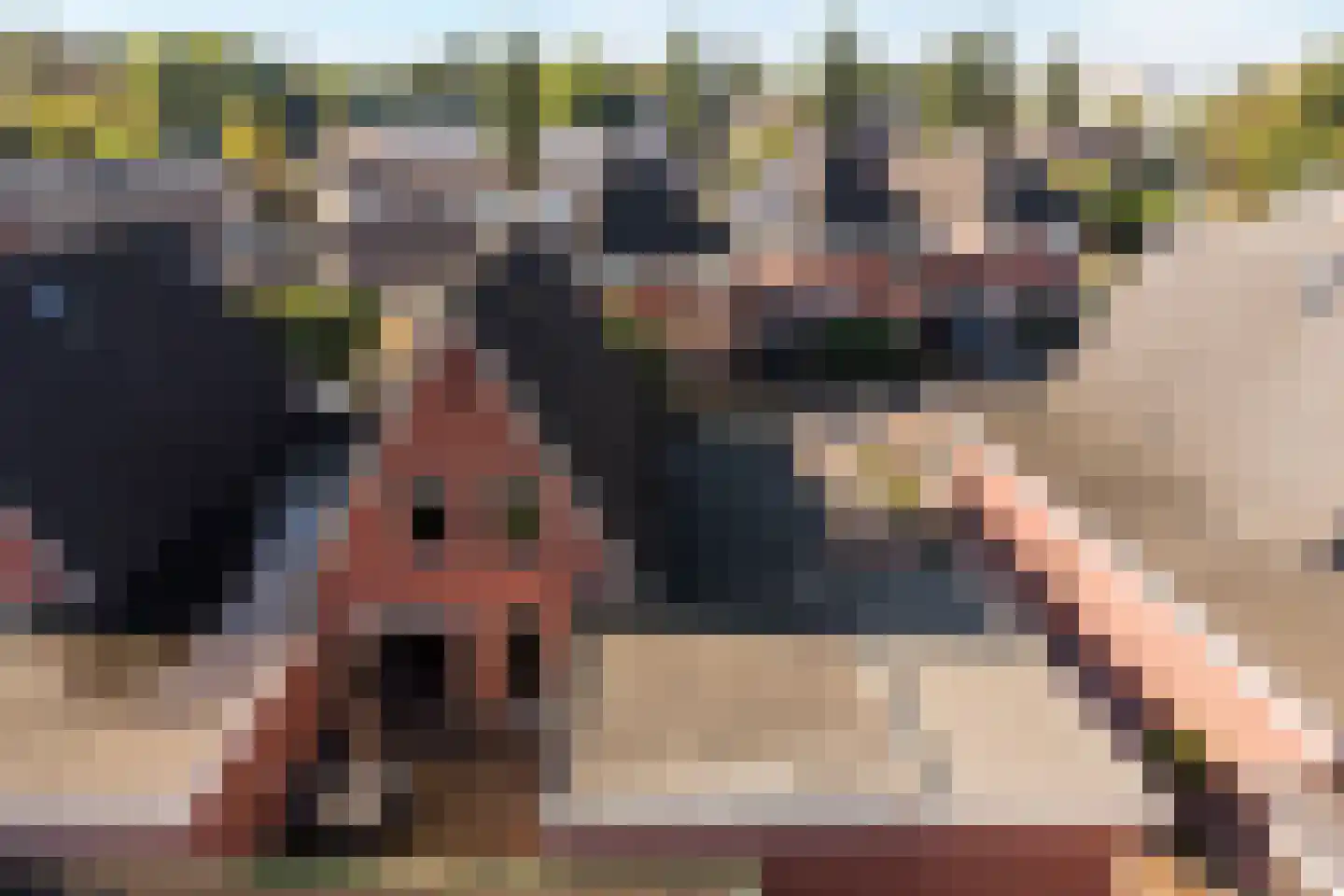 Gramsbergerhof 3 Gramsbergen thumbnail 50