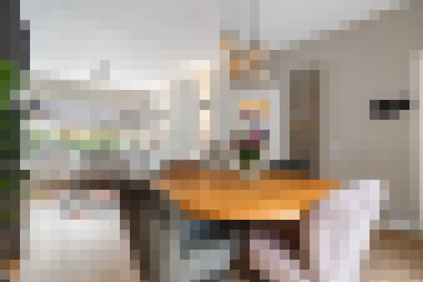Gramsbergerstraat 2 Coevorden thumbnail 15