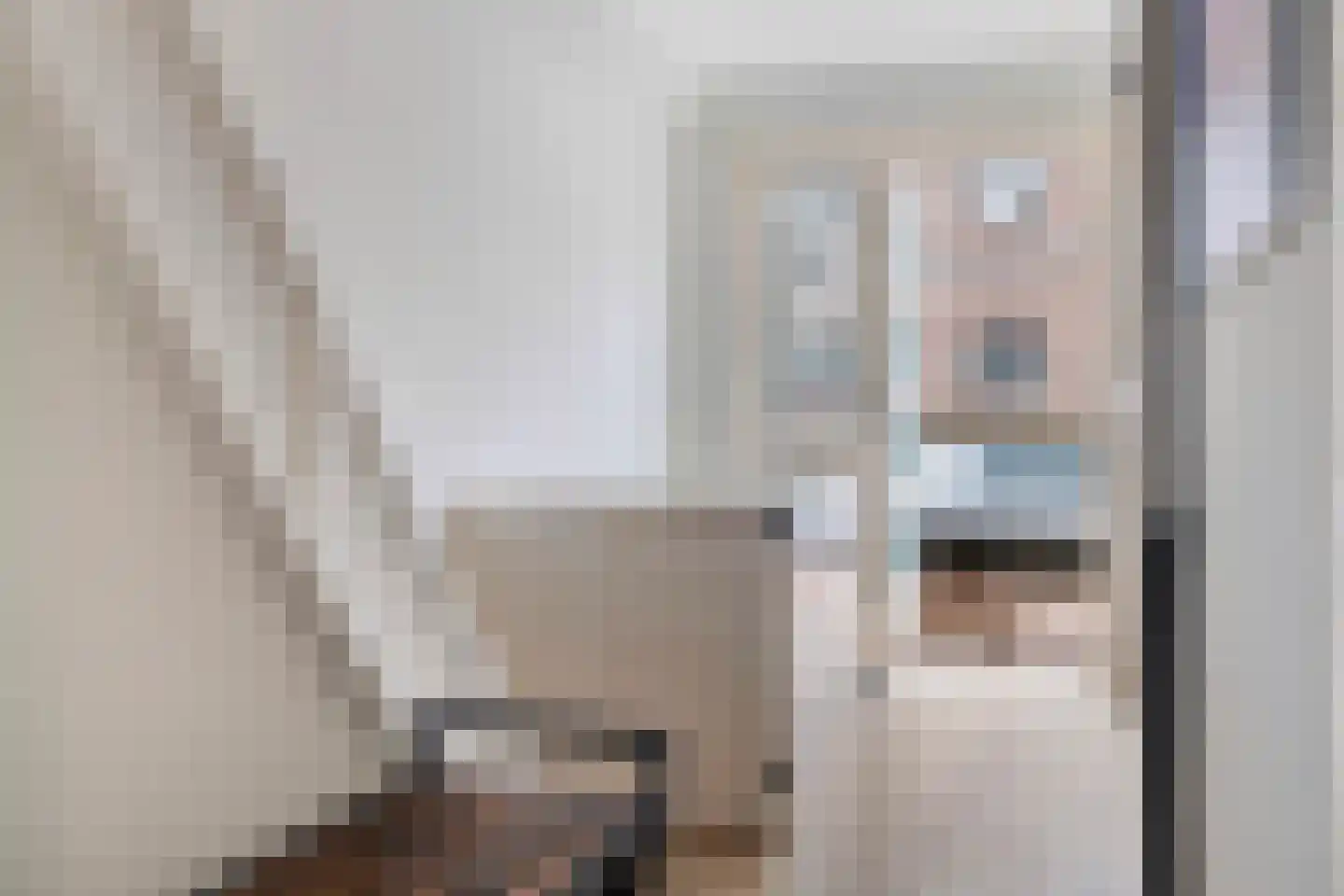 Gramsbergerstraat 2 Coevorden thumbnail 20