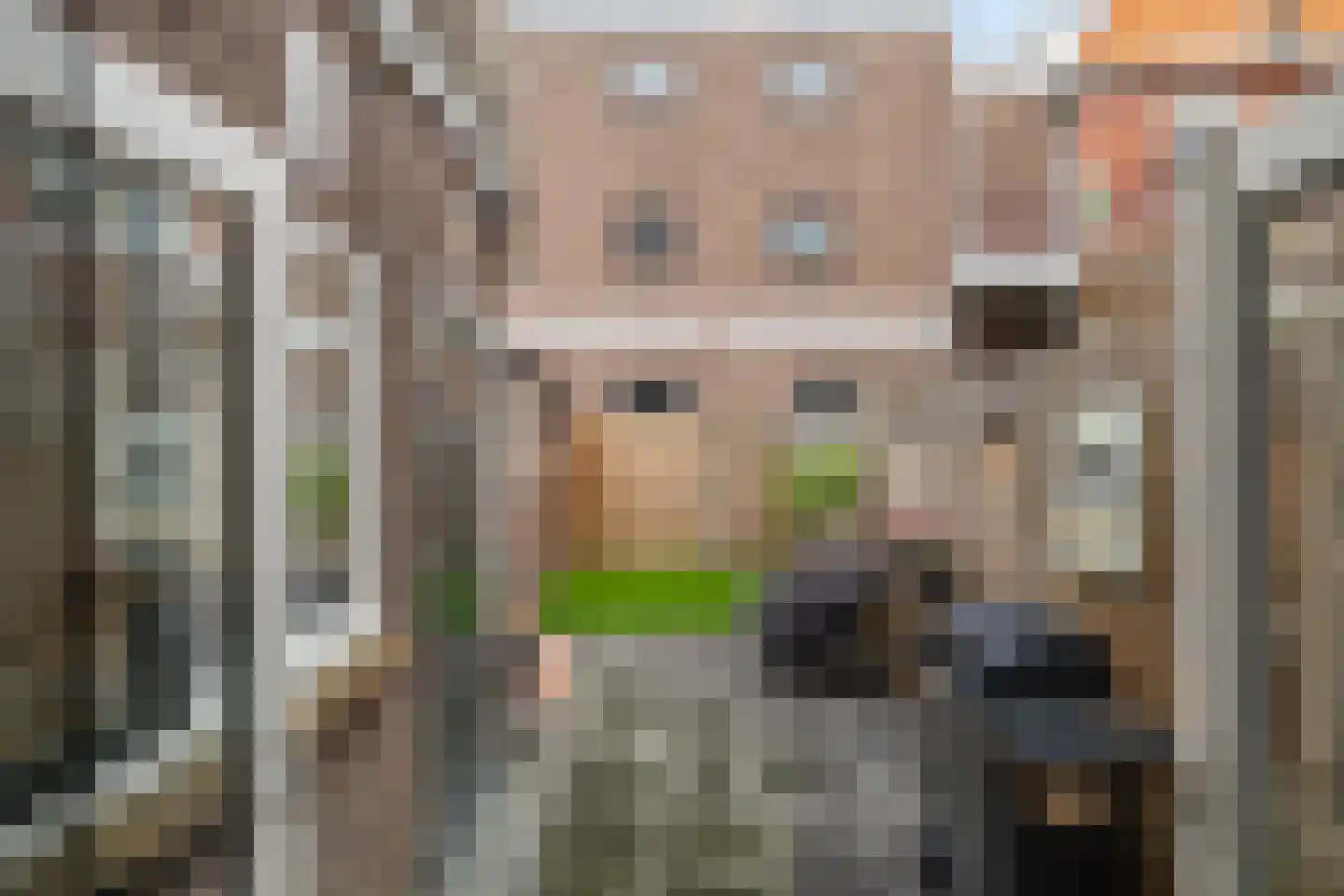 Gramsbergerstraat 2 Coevorden thumbnail 37