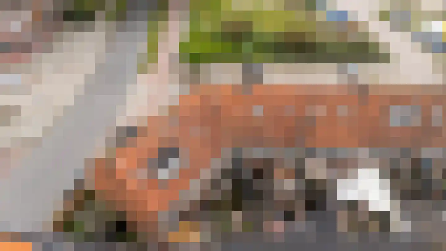 Gramsbergerstraat 2 Coevorden thumbnail 47