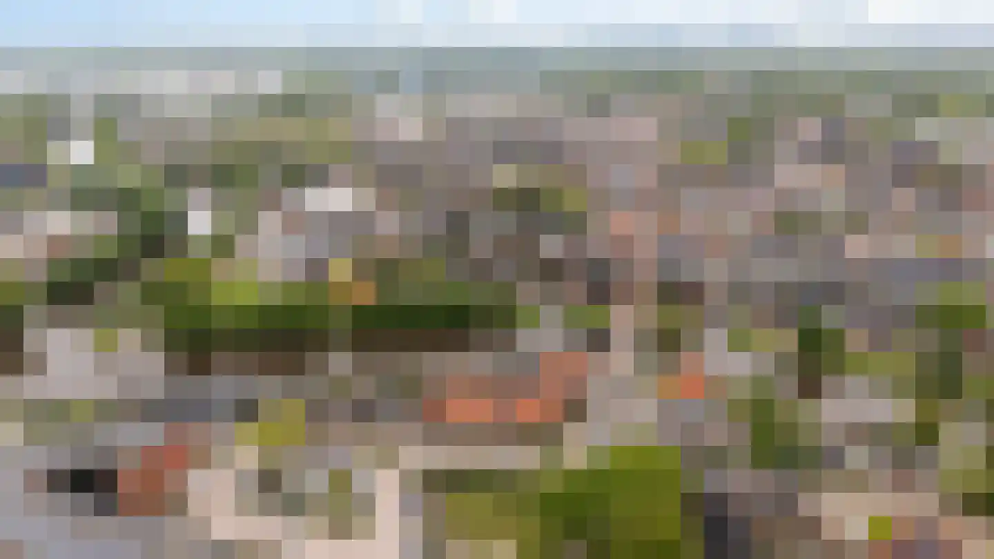 Gramsbergerstraat 2 Coevorden thumbnail 48