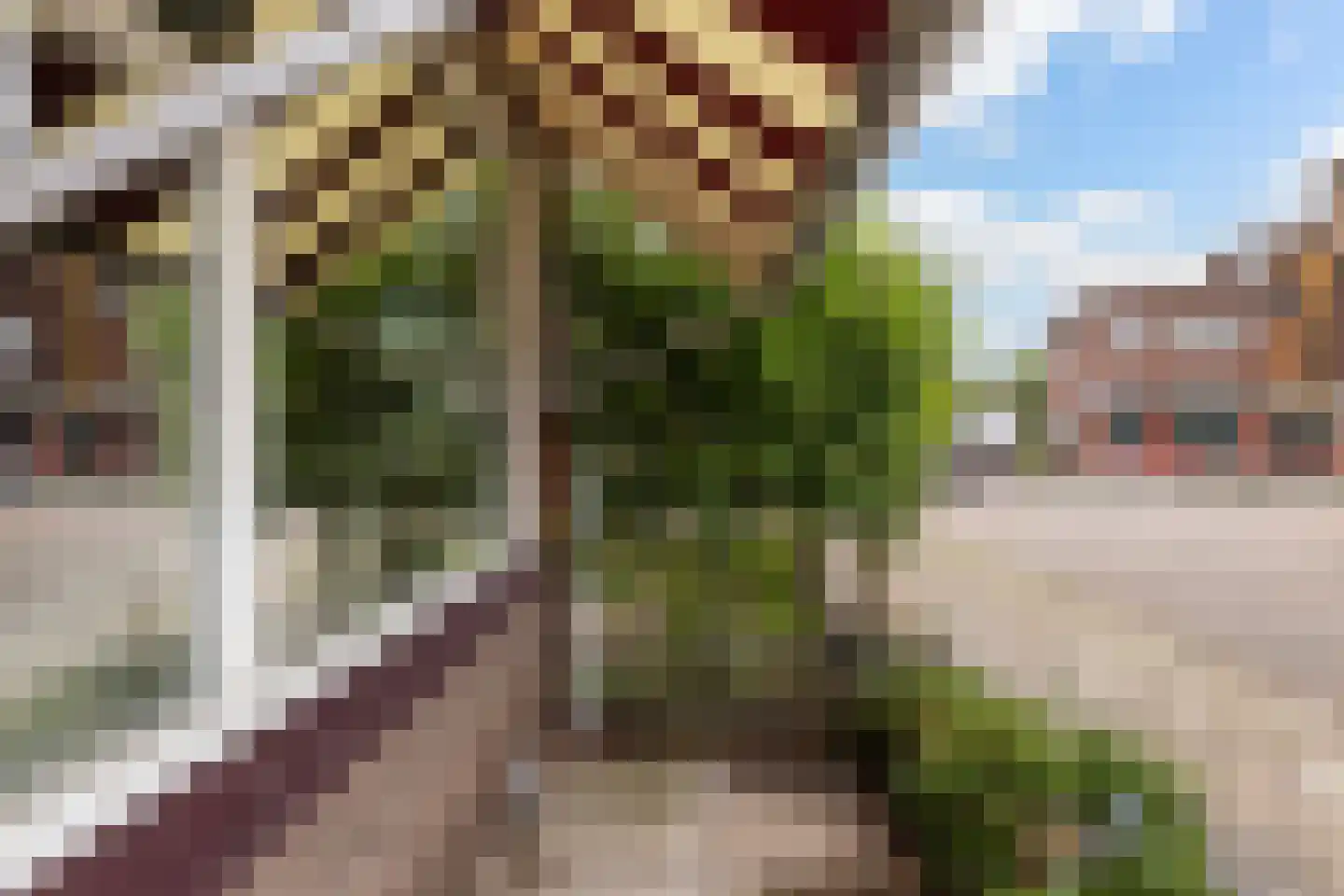 Gramsbergerstraat 2 Coevorden thumbnail 7