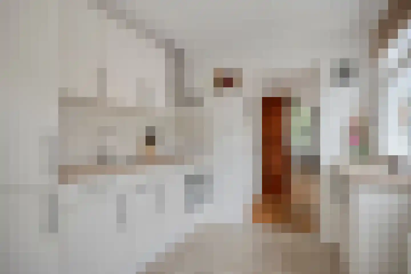 Gramsbergerstraat 63 Coevorden thumbnail 16