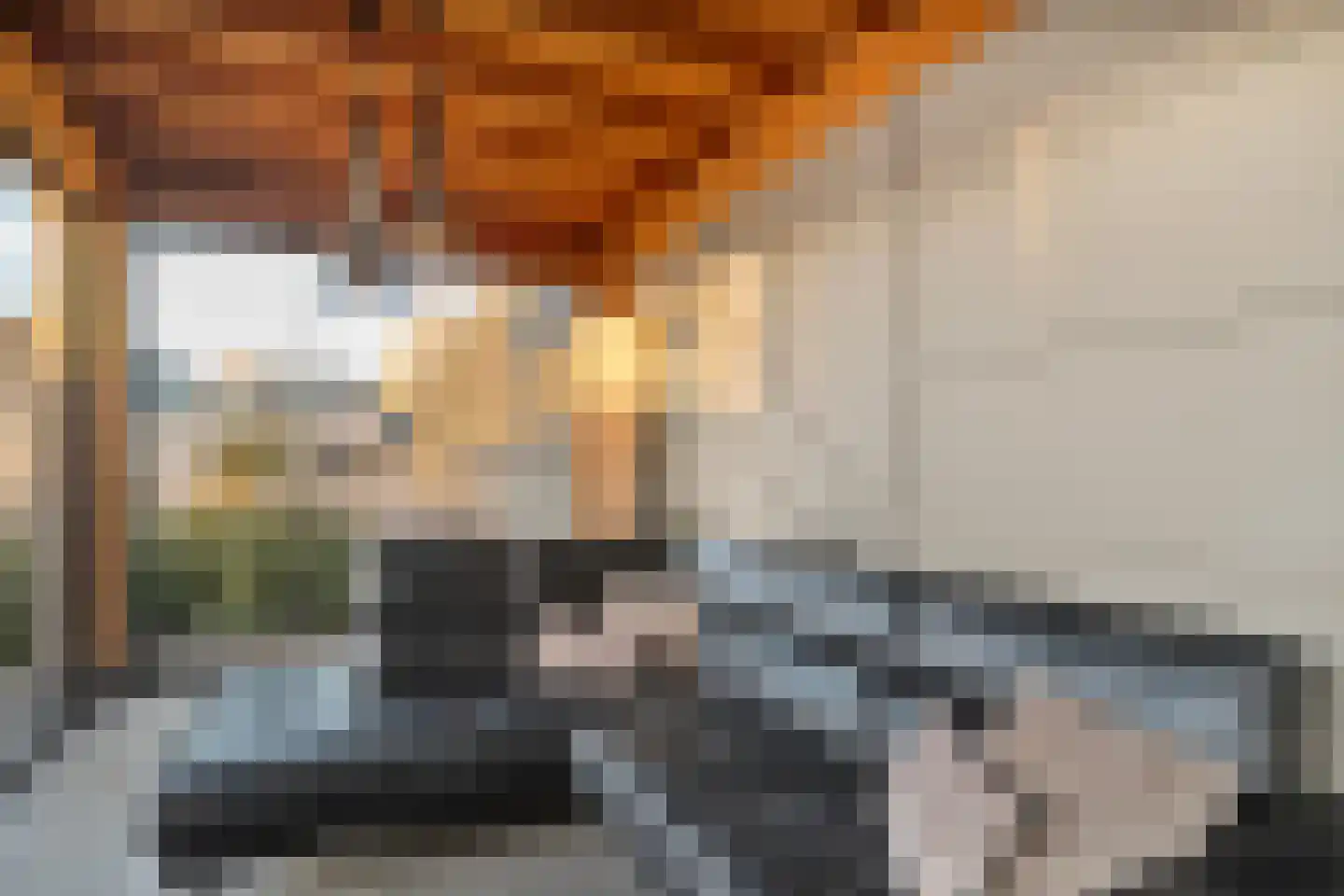 Gramsbergerweg 14 Hardenberg thumbnail 101