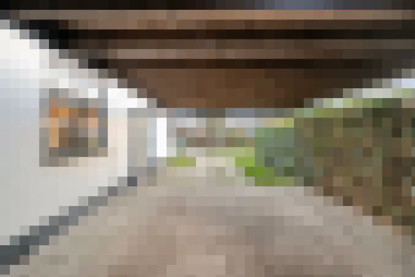 Gramsbergerweg 14 Hardenberg thumbnail 121