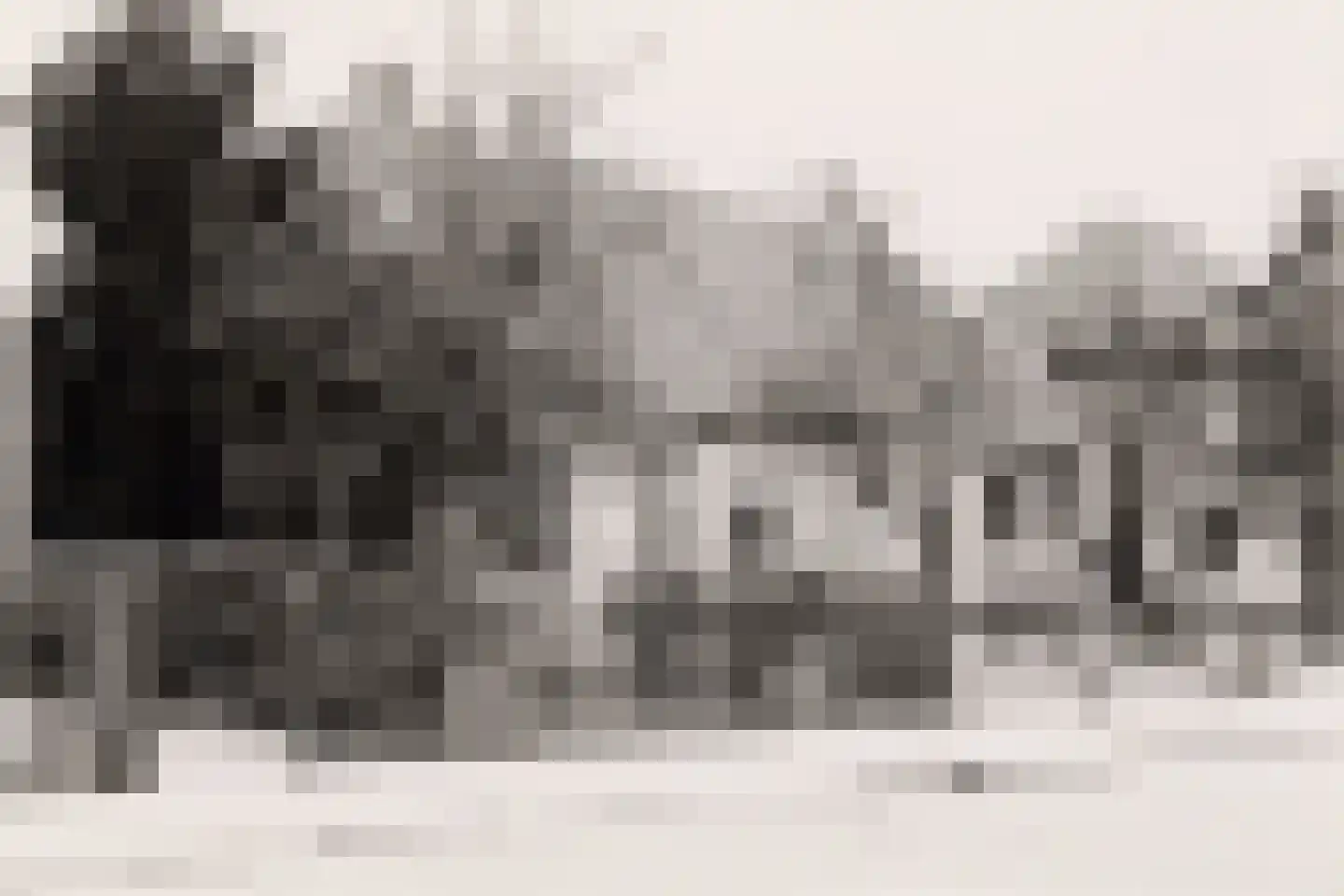 Gramsbergerweg 14 Hardenberg thumbnail 136