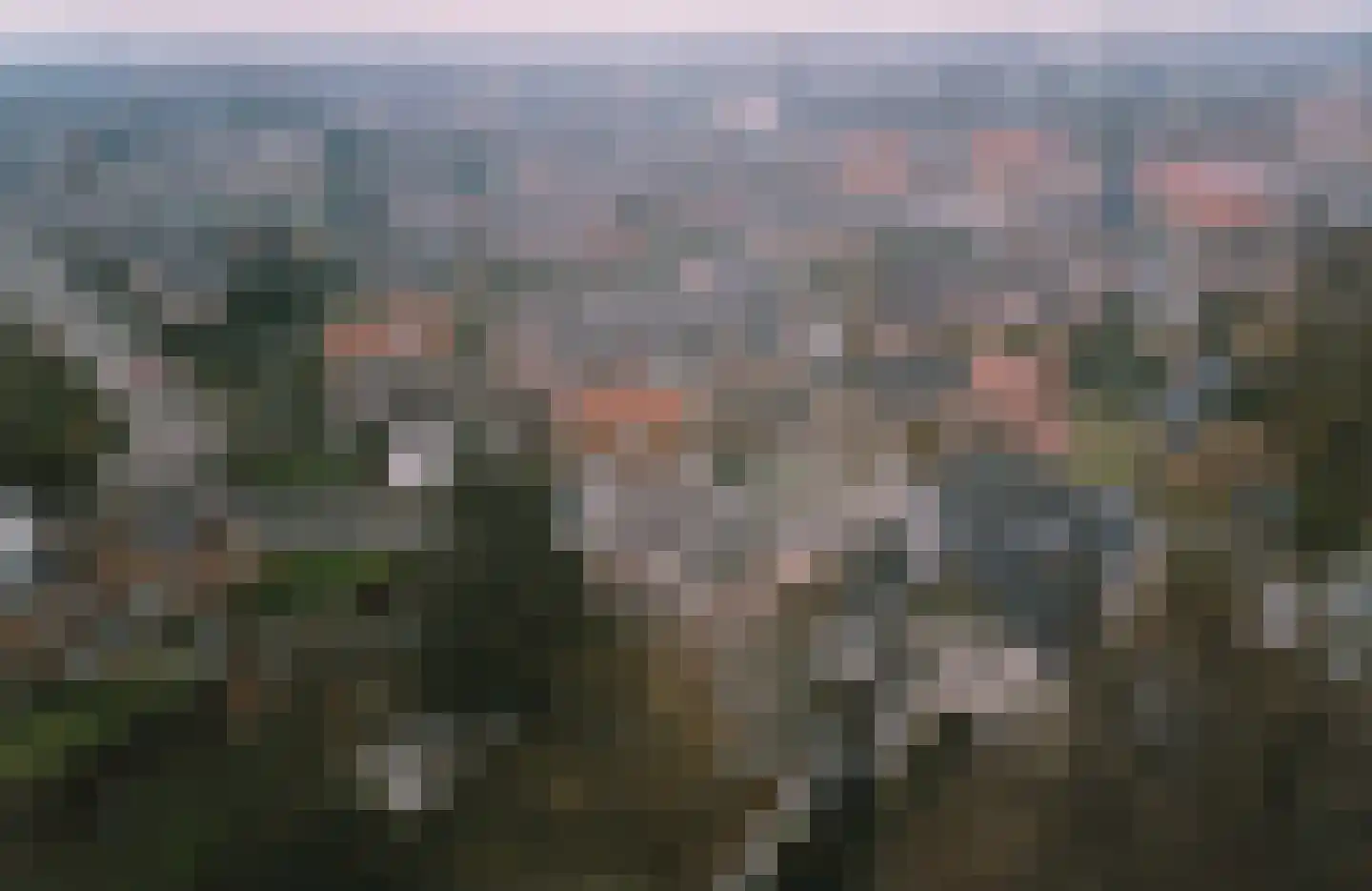 Gramsbergerweg 14 Hardenberg thumbnail 141