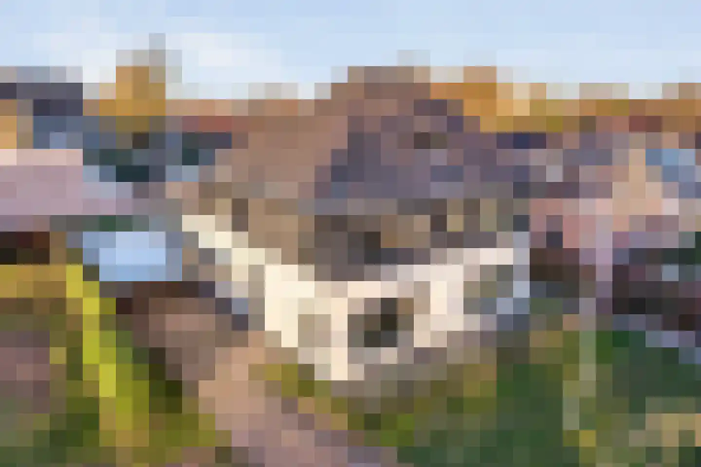 Gramsbergerweg 14 Hardenberg thumbnail 86