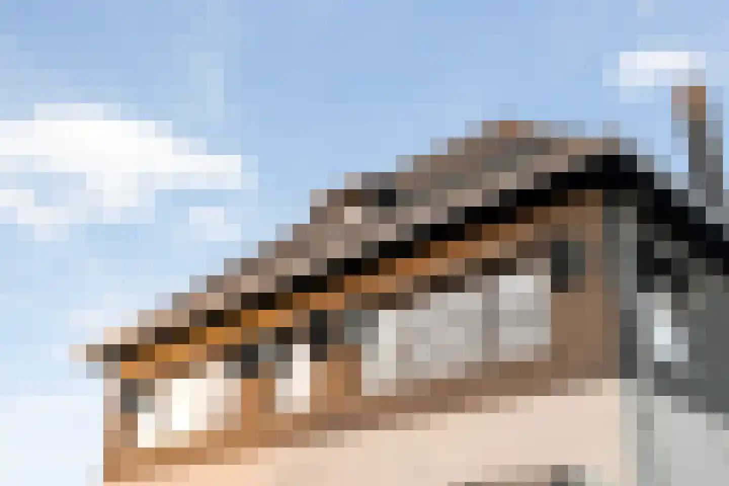 Gramsbergerweg 14 Hardenberg thumbnail 88