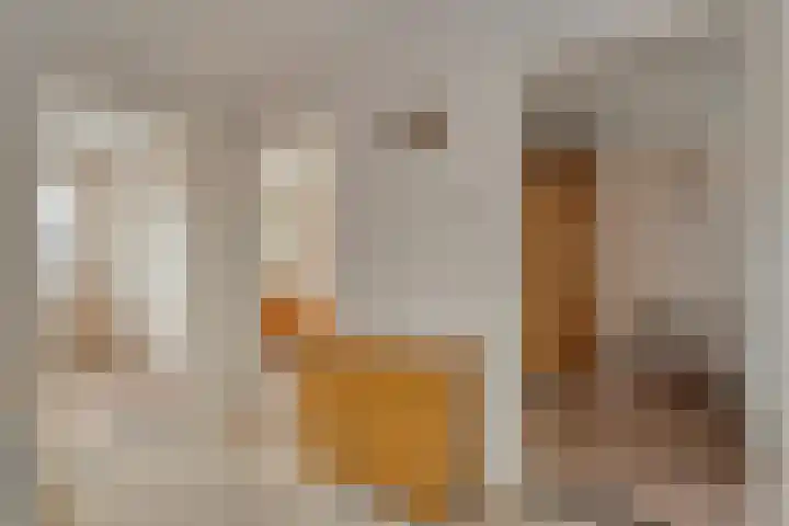 Gramsbergerweg 42 Hardenberg thumbnail 26