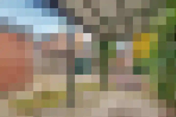 Gramserweg 1 Austerlitz thumbnail 31