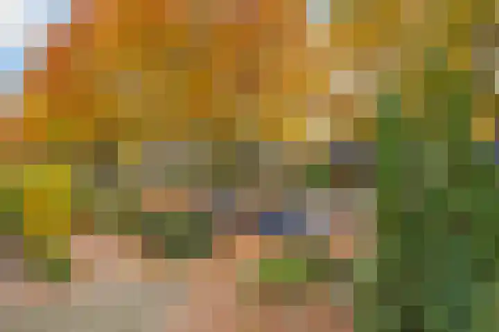 Gramserweg 1 Austerlitz thumbnail 4