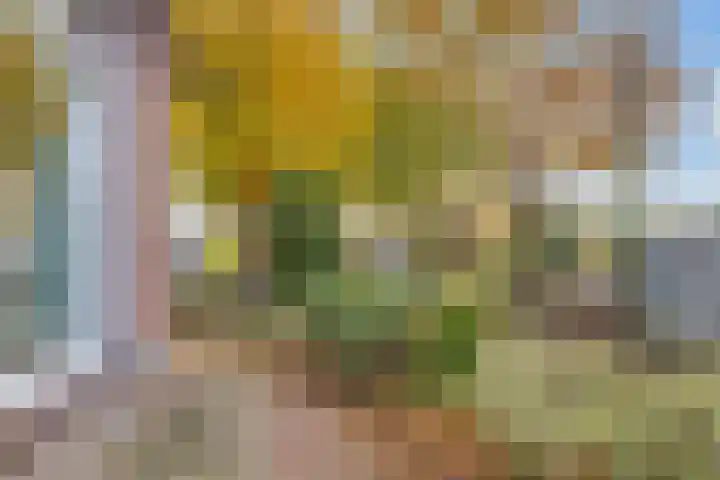 Gramserweg 1 Austerlitz thumbnail 8
