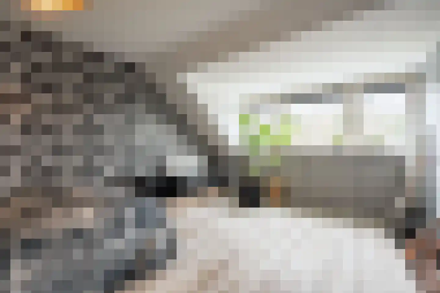 Gramserweg 15 Austerlitz thumbnail 18