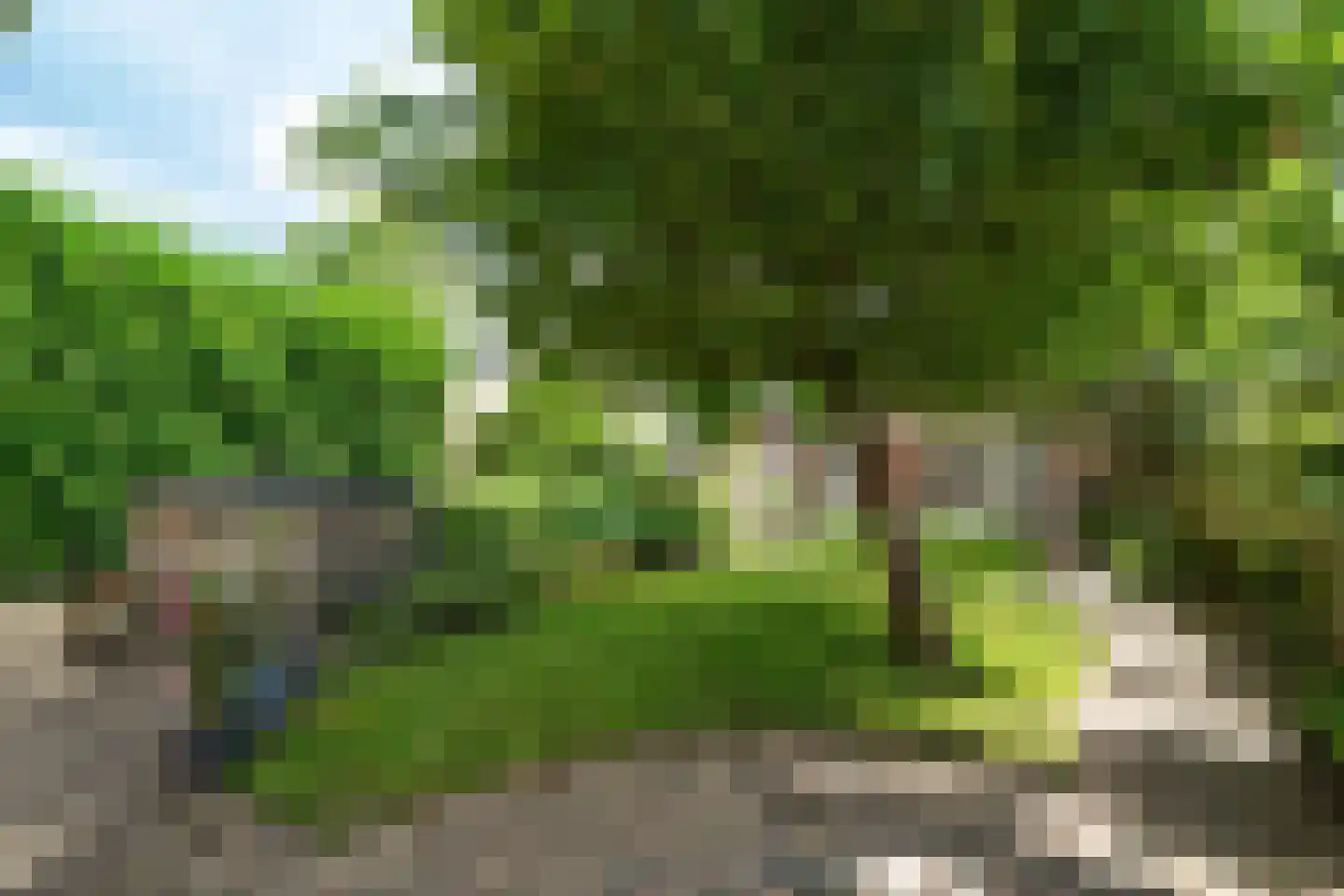 Gramserweg 15 Austerlitz thumbnail 22