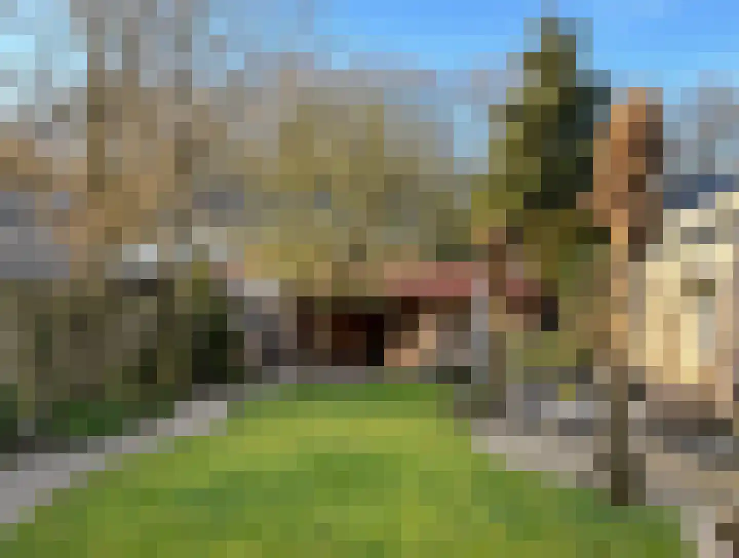 Gramserweg 15 Austerlitz thumbnail 22