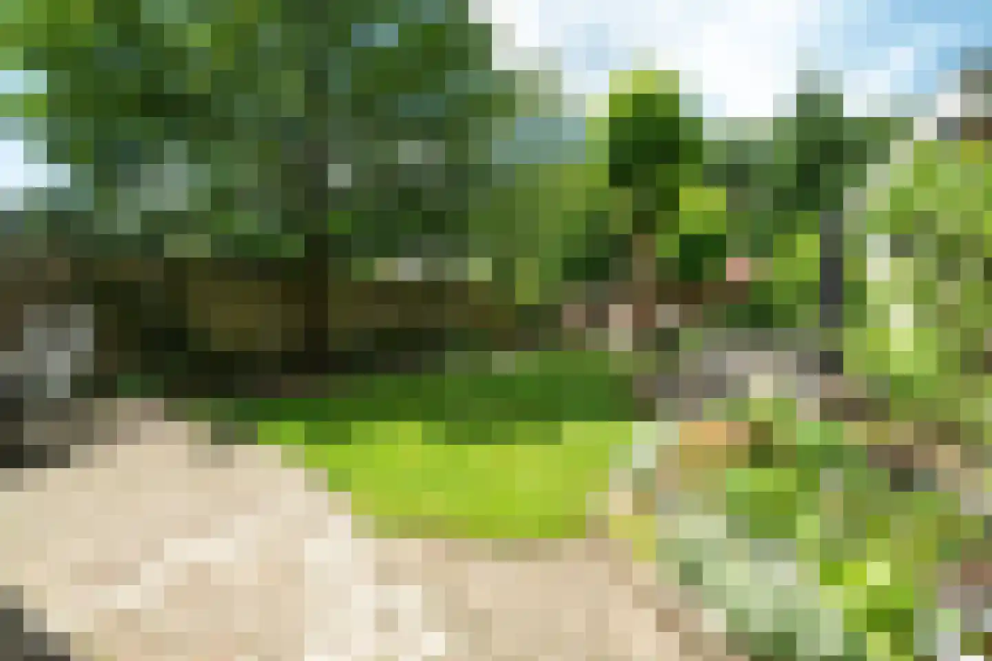 Gramserweg 15 Austerlitz thumbnail 24